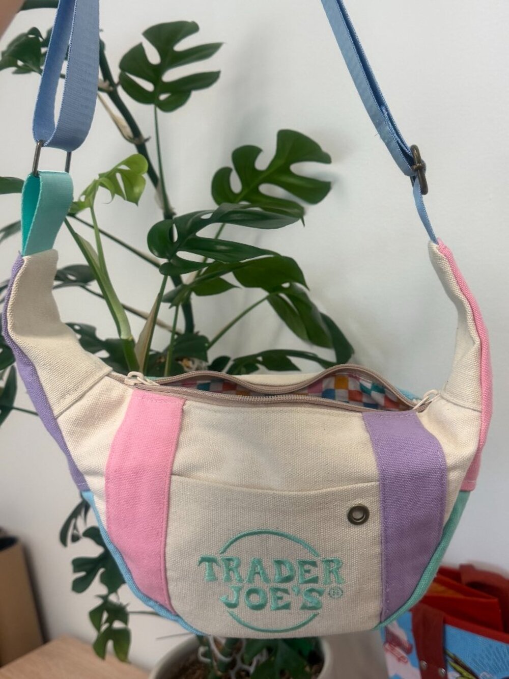 Pastel Canvas Crossbody Bag in Sky Blue, Mint, Pink & Lavender: TJ's Upcycle